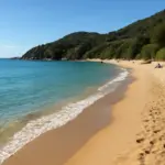 Le spiagge meno affollate d’Italia: sorprendi tutti con location poco conosciute